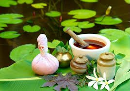 Indian herbs used in herbal nutrition to support natural animal health